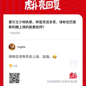 意昂体育-爱尔兰少帅执教巴恩斯利，徐彬能否立足成焦点|哈维-巴恩斯|爱尔兰足球|贝恩斯|英甲|阵型_新浪体育_新浪新闻